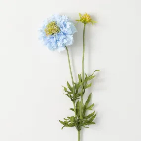 Light Blue Scabiosa Spray