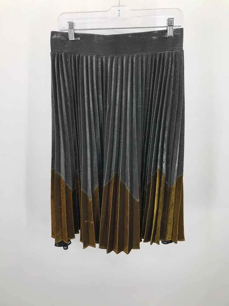 Pre-Owned HD In Paris Silver Size Medium Midi Skirt