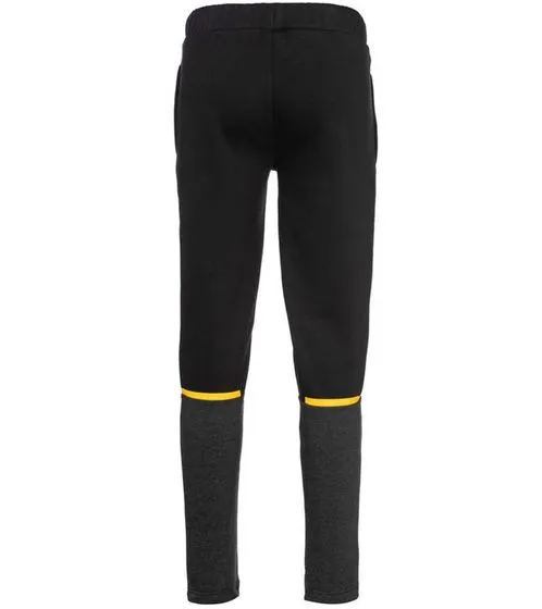 PUMA BVB Casuals Pants Pantalon de survêtement pour homme Borussia Dortmund Cotton Fanwear 771843 02 Noir